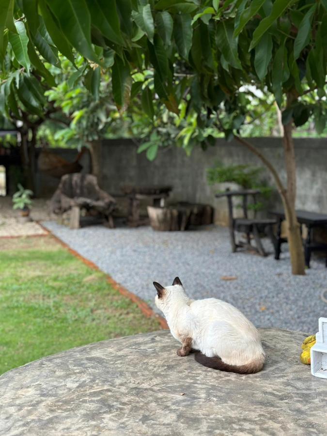 The Legend Homestay. Mae Ai Exterior foto